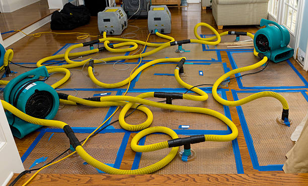 Professional Flood Damage Restoration technician working in Winona, MS