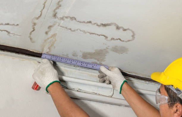 Affordable Water Damage Repair solutions in Winona, MS